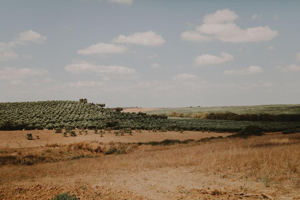 Monte Do Ramalho Villa Aviz Eksteriør bilde